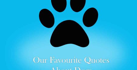 NewDoggy.com’s 10 Favourite Quotes About Dogs | New Doggy