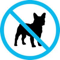 When You Shouldn’t Buy a Puppy | New Doggy