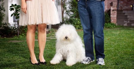 Mark Zuckerberg’s Hungarian Puli, Beast | New Doggy