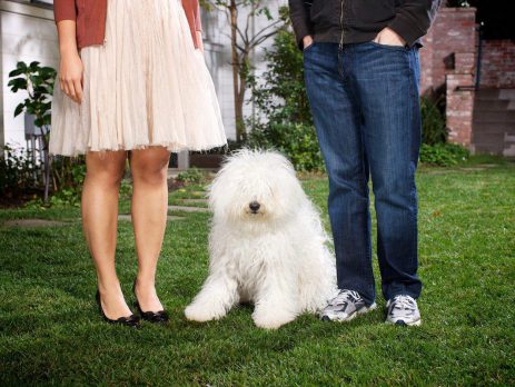 Mark Zuckerberg’s Hungarian Puli, Beast | New Doggy