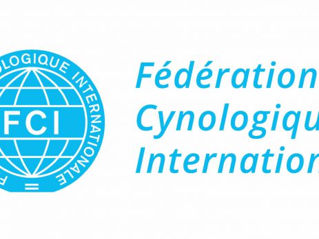 What Is FCI? | New Doggy