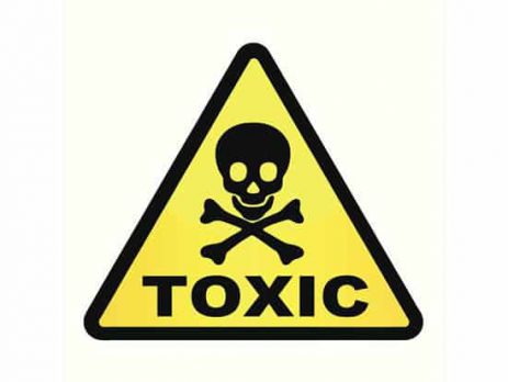 Poisonous, toxic plants to dogs