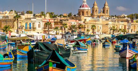 malta-dogs, malta likes