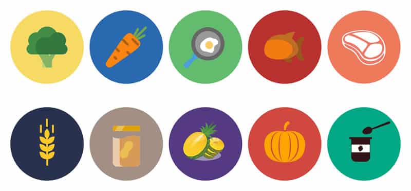 TOP 10 BEST FOODS TO FEED YOUR DOG