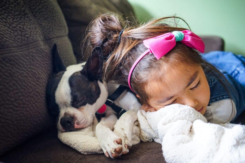 Best dog breeds for children blog NewDoggy.com