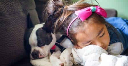 Best dog breeds for children blog NewDoggy.com