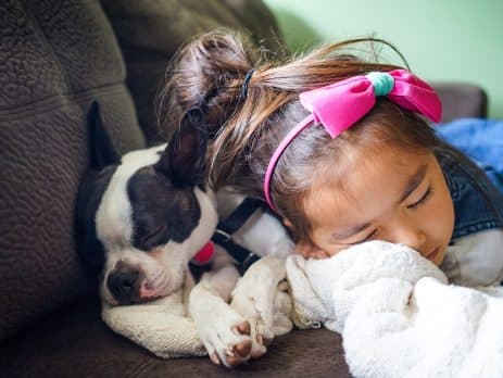 Best dog breeds for children blog NewDoggy.com