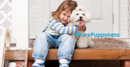 why do you need a dog