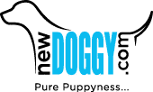NewDoggy.com