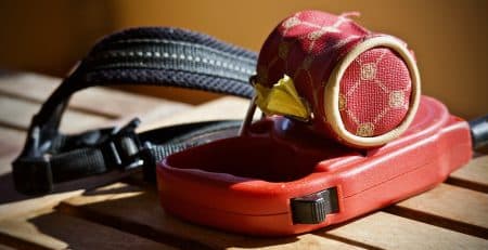 Collar vs harness blog NewDoggy.com