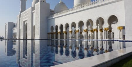 What to consider when buying a puppy in Abu Dhabi