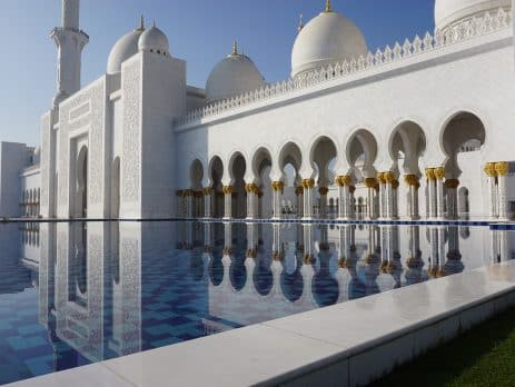 What to consider when buying a puppy in Abu Dhabi