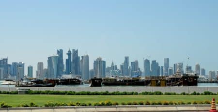 What to consider when buying a puppy in Qatar