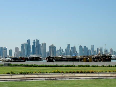 What to consider when buying a puppy in Qatar