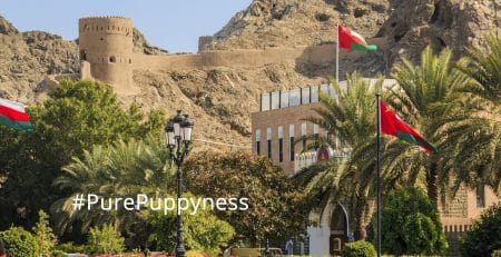 What to consider when buying a puppy in Oman