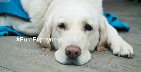 Nipping and how to avoid it