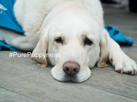 Nipping and how to avoid it