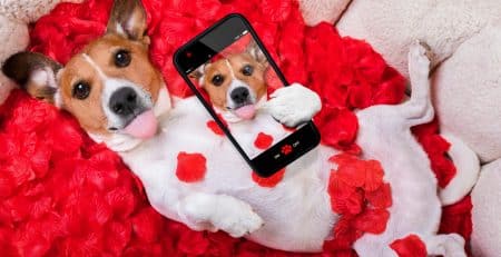 Taking your dog on a date with a lady