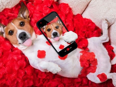 Taking your dog on a date with a lady