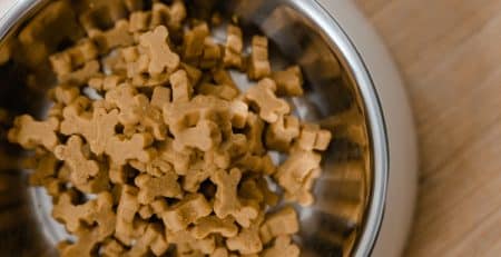 Dog Food Allergies NewDoggy.com blog