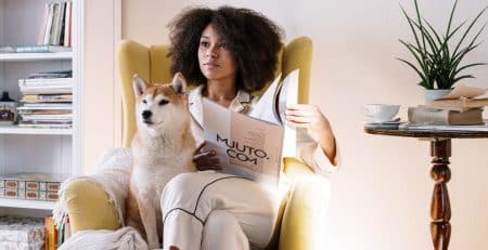 A guide to life with your dog in quarantine blog NewDoggy.com