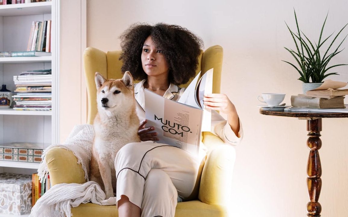 A guide to life with your dog in quarantine blog NewDoggy.com