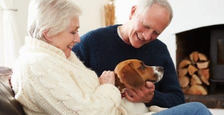 Best dog dog breeds for retired couple NewDoggy