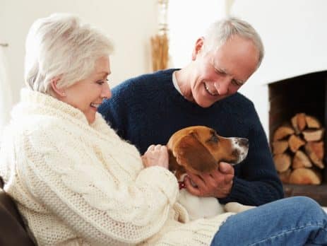 Best dog dog breeds for retired couple NewDoggy