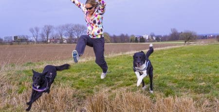 Best breeds for an active lifestyle NewDoggy.com