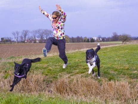 Best breeds for an active lifestyle NewDoggy.com