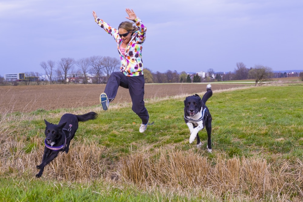 Best breeds for an active lifestyle NewDoggy.com