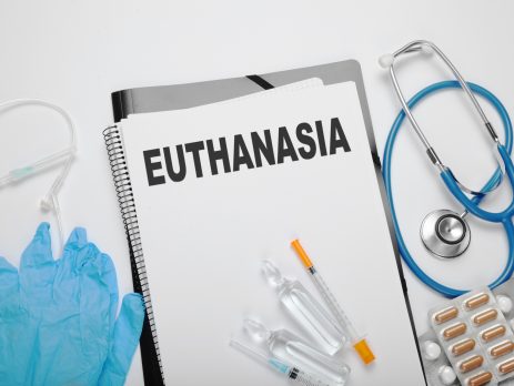 Euthanasia blog NewDoggy.com