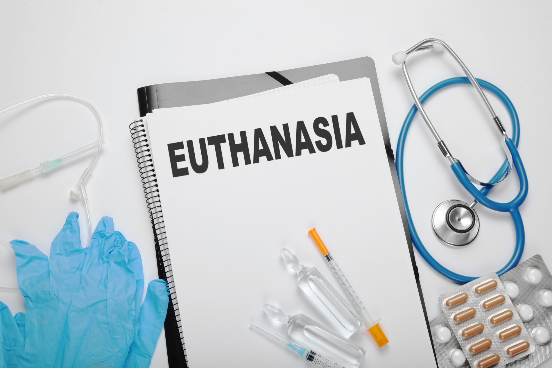 Euthanasia blog NewDoggy.com