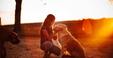 Emotional Support Dogs blog NewDoggy.com