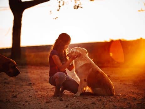 Emotional Support Dogs blog NewDoggy.com