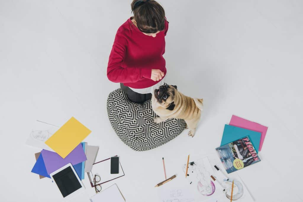 Best Dogs for the office