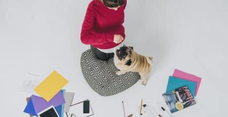 Best Dogs for the office