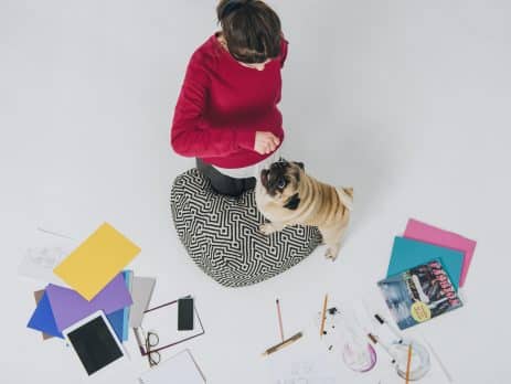 Best Dogs for the office