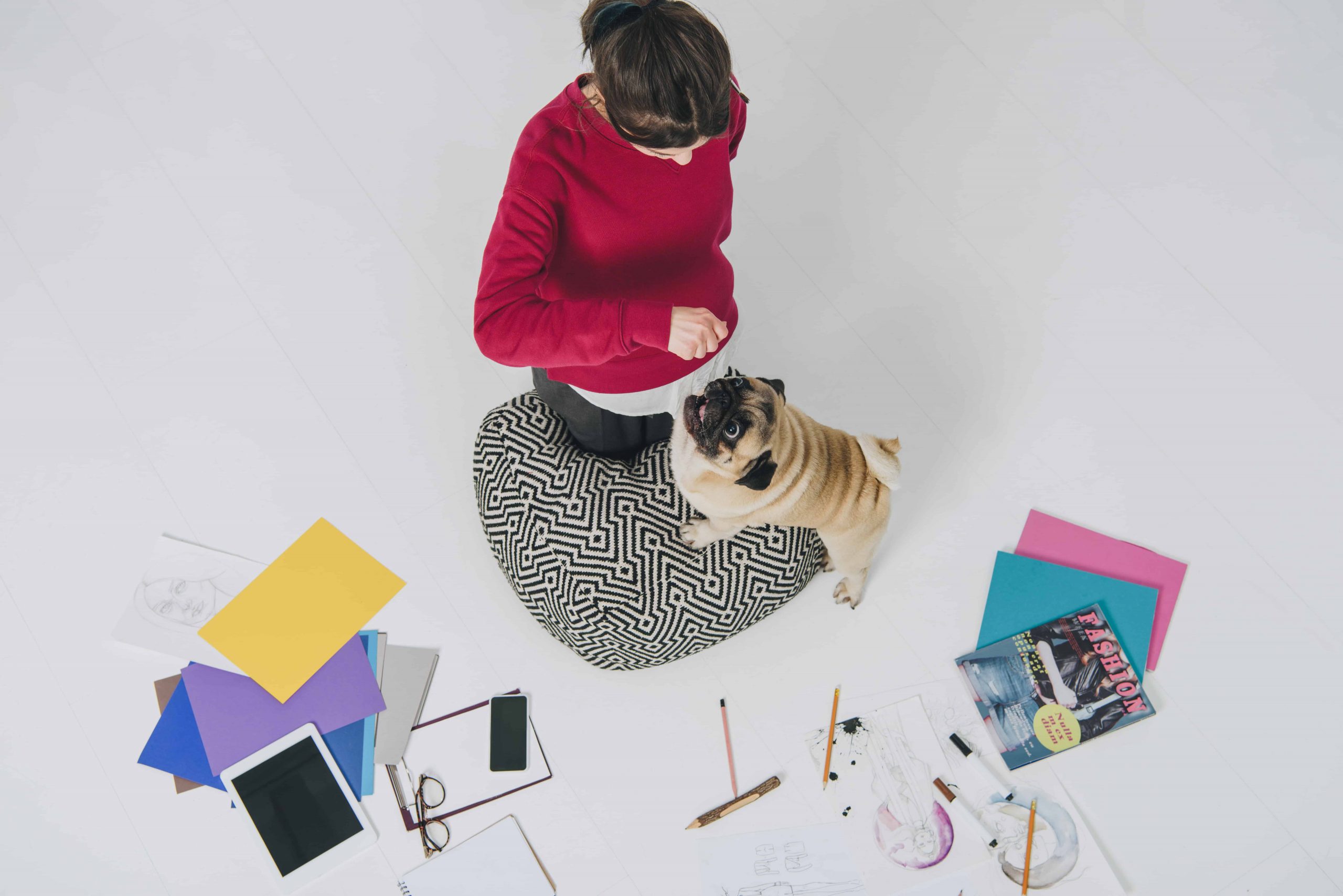 Best Dogs for the office