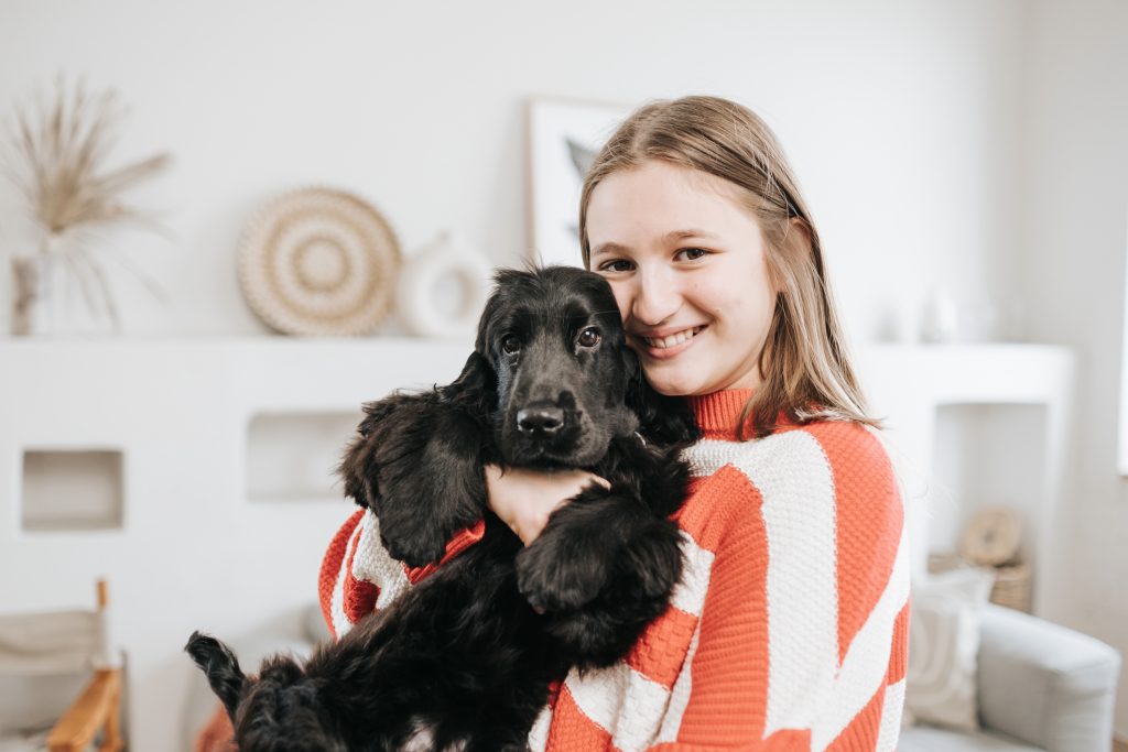 black english cocker spaniel puppy