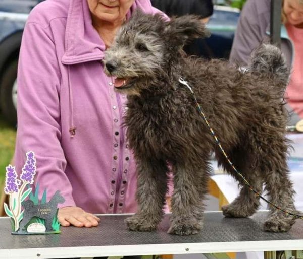 Cooper Pumi Cooper Pumi