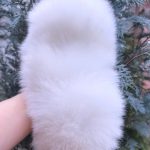 Favorite-female-pomeranian-puppy-for-sale-1 (4)