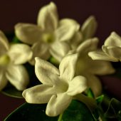 gilbert-bergeraud--M9Q2SiHe0U-unsplash