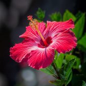 robert-thiemann-TTaxId0Im2s-unsplash