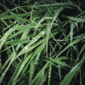 tim-hufner-xVJbVQzDx9o-unsplash