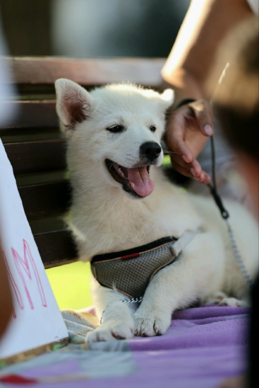 Lars Pomsky Lars Pomsky