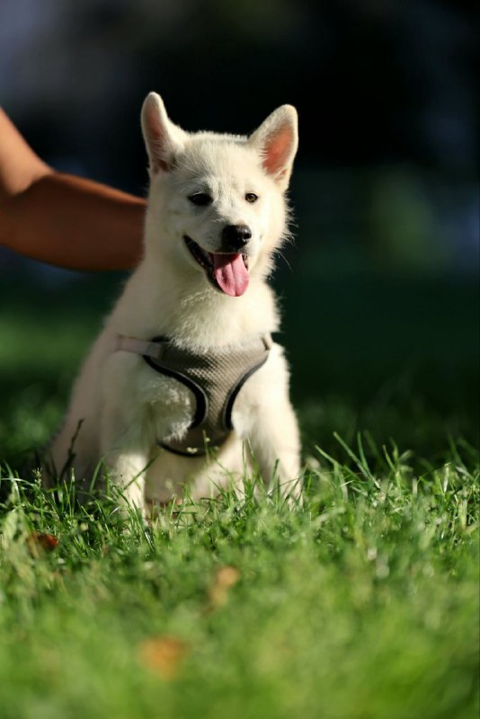 Lars Pomsky Lars Pomsky