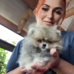 Dukat-male-pomeranian-puppy-for-sale-1 (1)