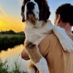 Medea-female-Saint-Bernard-puppy-for-sale-1 (3)