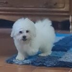 WhatsApp-kép, 2025-09-13, 18.23.22_41b73cad